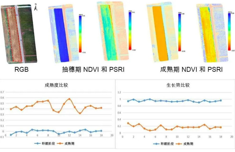 Specim AFX10無人機載高光譜成像系統(tǒng)記錄小麥在不同時期的歸一化植被指數和植物衰老反射指數