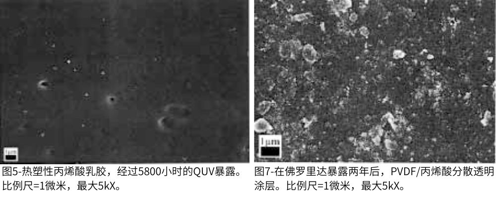 圖7-在佛羅里達(dá)暴露兩年后，PVDF/丙烯酸分散透明涂層