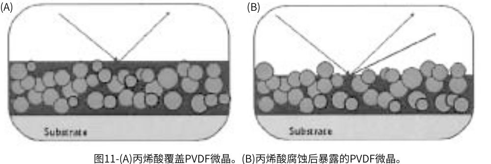 圖11-(A)丙烯酸覆蓋PVDF微晶。(B)丙烯酸腐蝕后暴露的PVDF微晶。