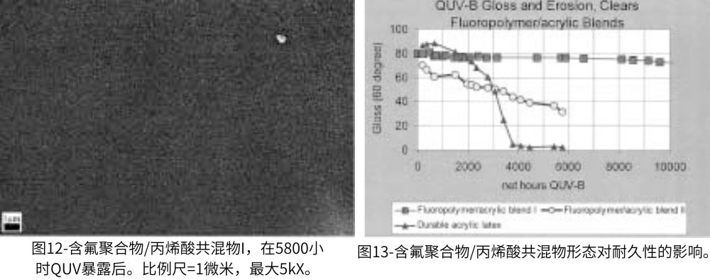 圖12-含氟聚合物丙烯酸共混物I，在5800小時QUV老化測試后的情況；圖13含氟聚合物丙烯酸共混物形態(tài)對耐久性的影響