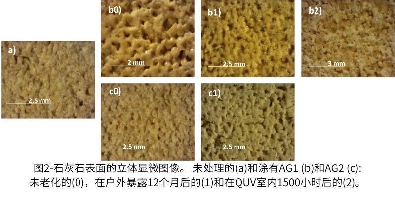 圖2石灰石表面的立體顯微圖像。 未處理的(a)和涂有AG1 (b)和AG2 (c)未老化的(0)，在戶外暴露12個(gè)月后的(1)和在QUV室內(nèi)1500小時(shí)后的(2)。